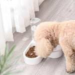 Double Feeder Automatic Water Drinking for Pet