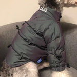 Winter Jacket for Dogs