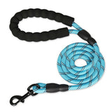 Nylon Training Dog Leash Webbing Recall