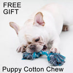 Universal Vehicle Armrest Box Pet Carrier