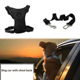 Outdoor Training Dog Snack Bag  Harness Leash