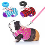 Small Pet Rabbit Harness Vest and Leash Set