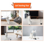 Cat Teaser Simulation Bird Interactive Toy