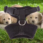 Pet Harness collar