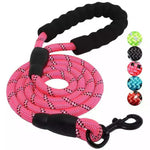 Nylon Training Dog Leash Webbing Recall