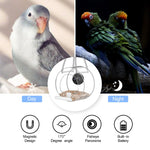 Transparent Bird Feeder With Camera Smart