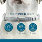 Dog Anti Flea Ticks Antiparasitic Collar