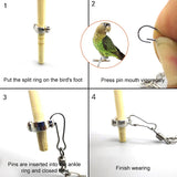 1 Pcs Parrot Leg Ring Ankle Foot Chain