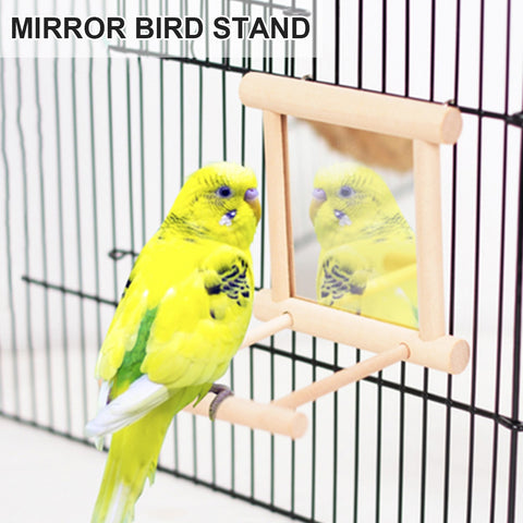 1PC Wood Bird Mirror With Perch Stand