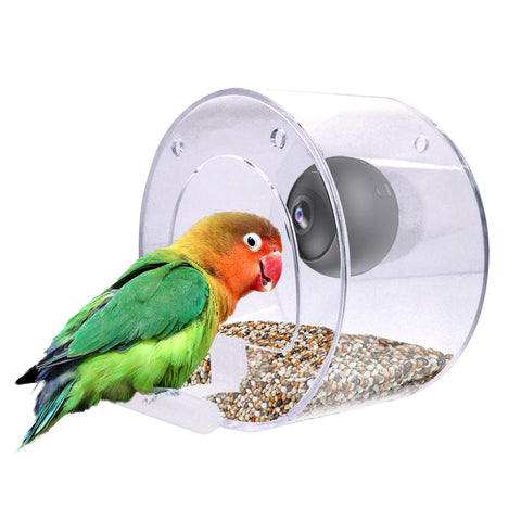 Transparent Bird Feeder With Camera Smart