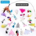 11 Pcs Kitten Feather Wire Wands Worm Teaser