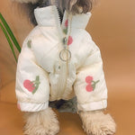 Cute Cherry Coat for Pets