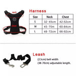 Outdoor Training Dog Snack Bag  Harness Leash