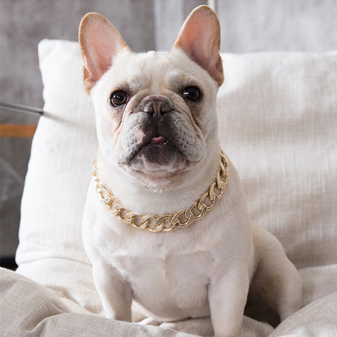 Pet Dog Cat Gold Necklace Collar