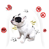 Dog Anti Flea Ticks Antiparasitic Collar