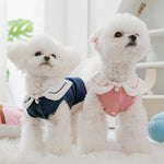 Cute Sweet Blouse for Dogs