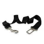 Outdoor Training Dog Snack Bag  Harness Leash