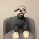 Winter Jacket for Dogs