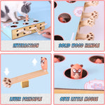 Cat Enrichment Toys for Indoor