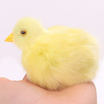 Simulation Lovely Plush Chick Toy Easter