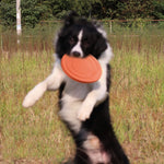 Dog Toy 17.8CM Flying Discs for Large Dog