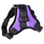 Pet Dog and Cat Adjustable Harness with Leash