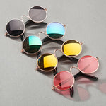 Pet Accessories Glasses Sunglasses Harness