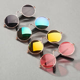 Pet Accessories Glasses Sunglasses Harness