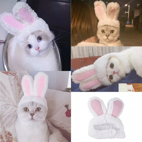 2022/Cat Hood Cute Rabbit Costume Hat