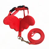 Cute Pet Leashes Collars Set