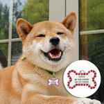 2022 Tags Engraved Pet Name Number Address