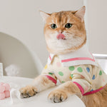 Cute Sweet Blouse for Dogs