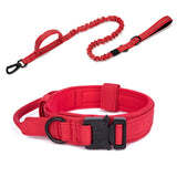 Pet Collar Leash Set Nylon Material