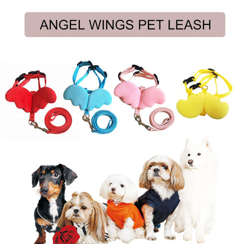 Cute Pet Leashes Collars Set