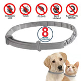 Dog Anti Flea Ticks Antiparasitic Collar