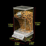 Bird Pet Bird Automatic Feeder Splash-Proof