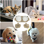 Ceramic Pet Bowls 2 Wood Stand Raised Feeder