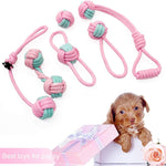 Dog Chew Toys Training