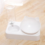 Automatic Pet Feeder Water Dispenser