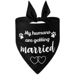 Wedding Party Pet Dog Bandana