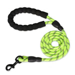 Nylon Training Dog Leash Webbing Recall