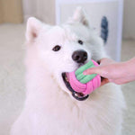 Dog Chew Toys Training