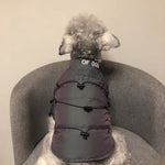 Winter Jacket for Dogs