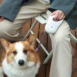 Dog Leash Which LED Lights Automatic Retractable