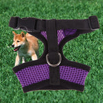 Pet Harness collar