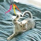 Cat Worm Toys 5/10pcs Interactive Retractable