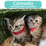 New Cute Bell Collar For Cats