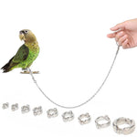 1 Pcs Parrot Leg Ring Ankle Foot Chain