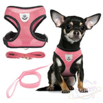 Vest Walking Lead Leash Cat