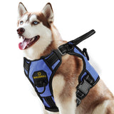 MASBRILL Dog Harness  Pull Nylon